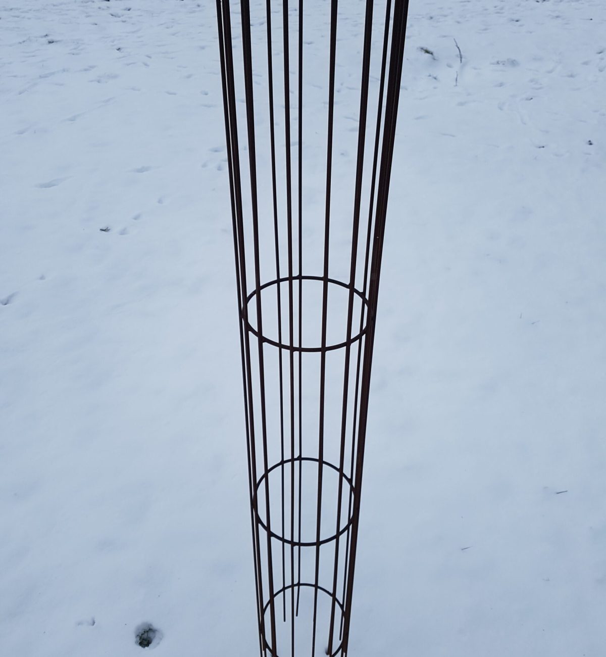 20210207_111918