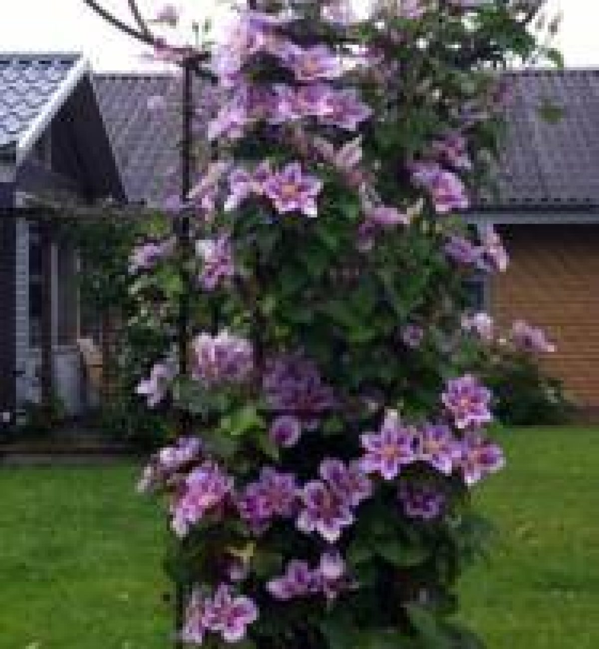 29595545_1611563438921676_3781324159669654375_n