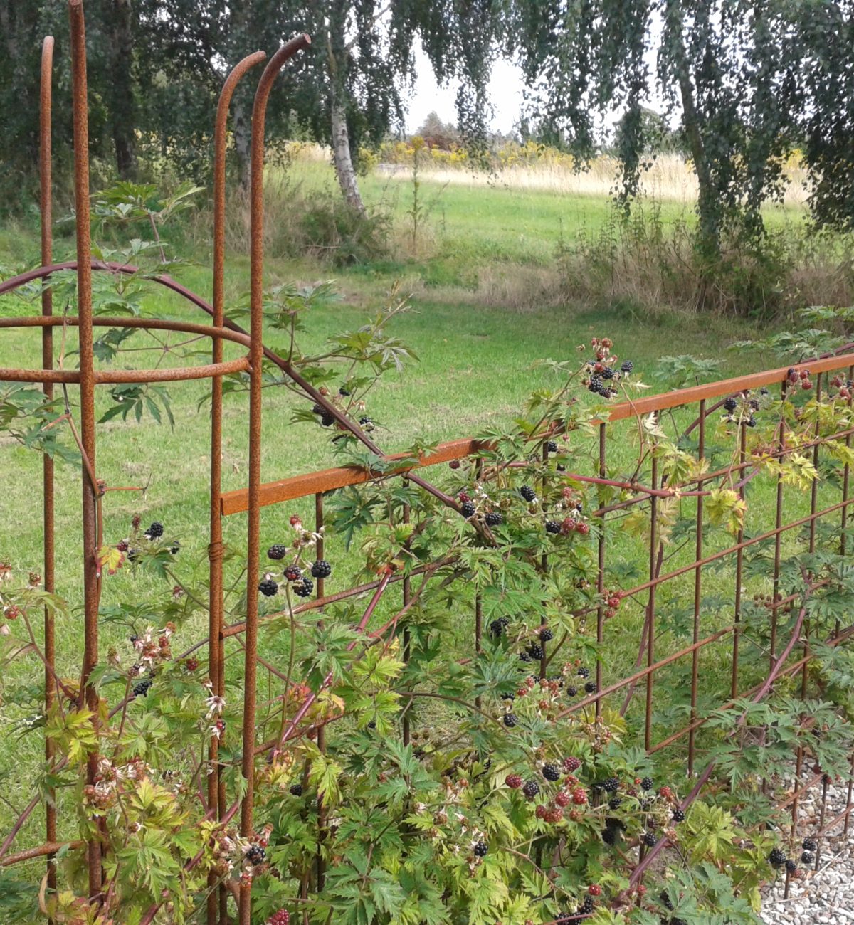 Hegn