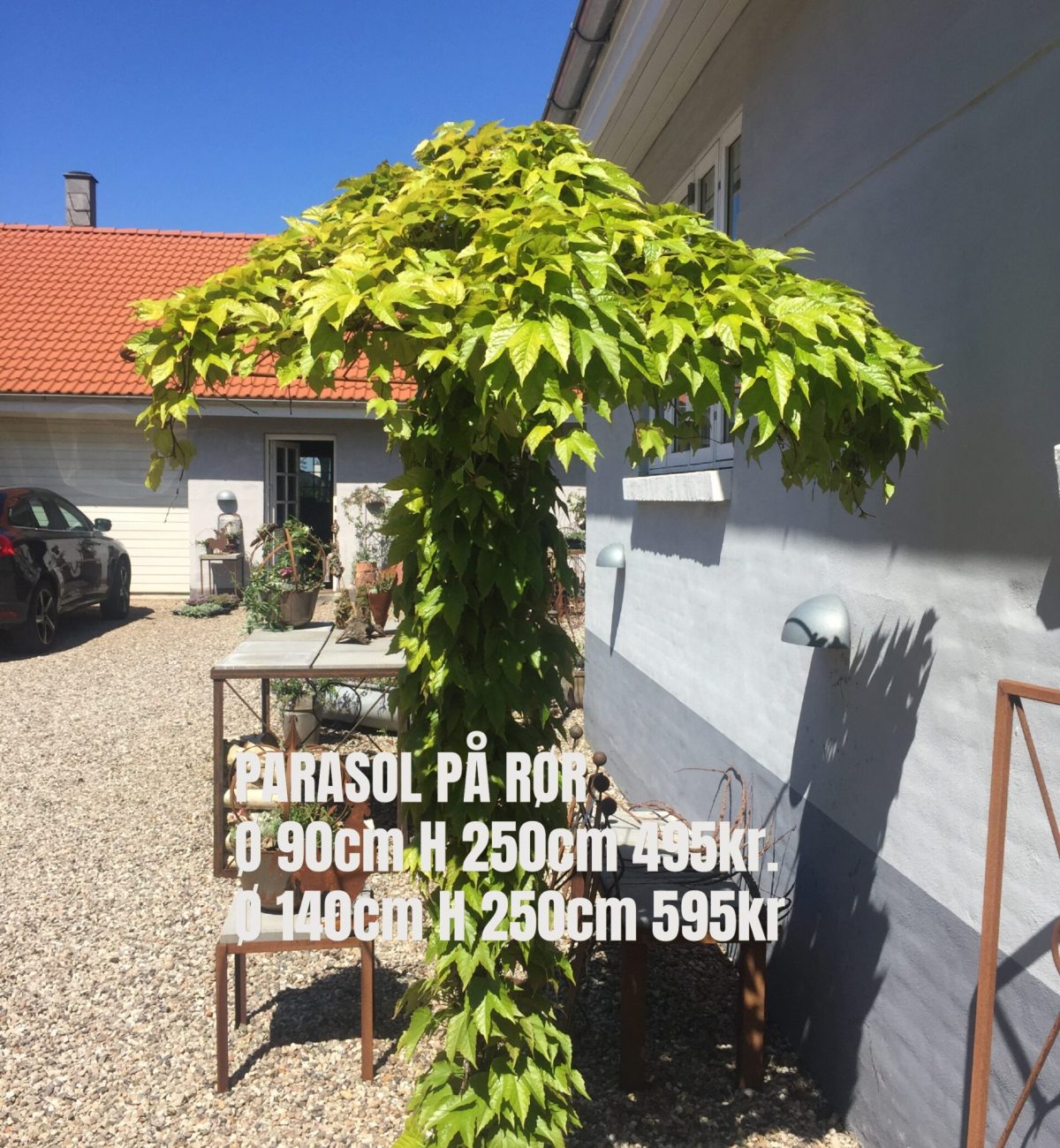 Parasol på rør