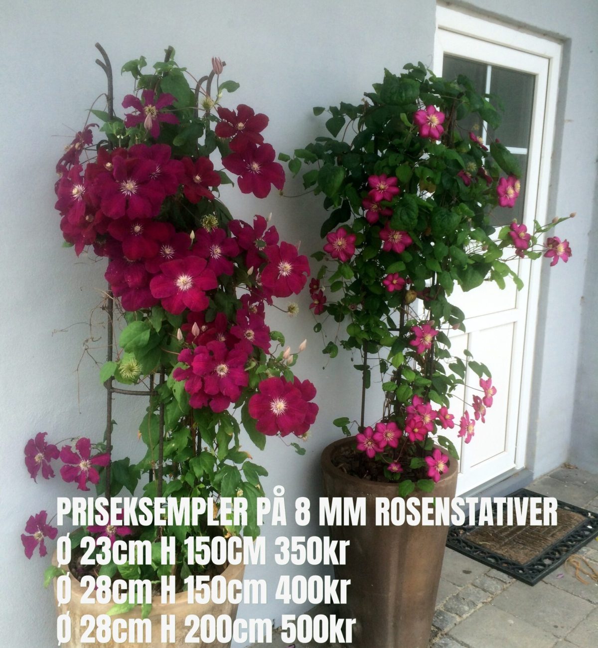 SMÅ ROSENSTATIVER